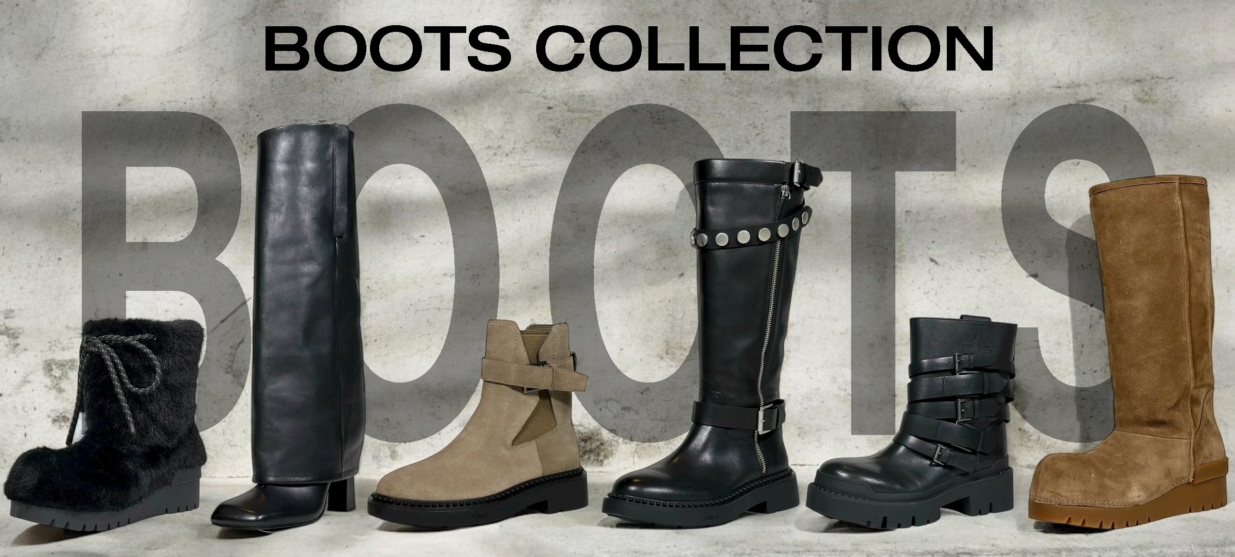 ASH (アッシュ)｜HAYASHIGO ONLINE SHOP -ハヤシゴオンラインショップ公式