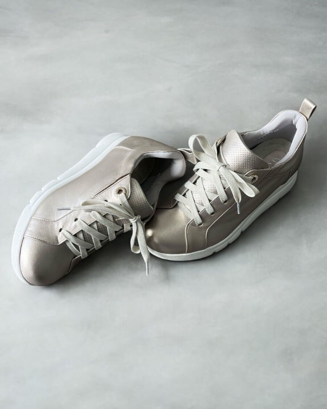 ネオタンゴ シルバーベージュ BRAND｜HAYASHIGO ONLINE SHOP -ハヤシゴオンラインショップ公式