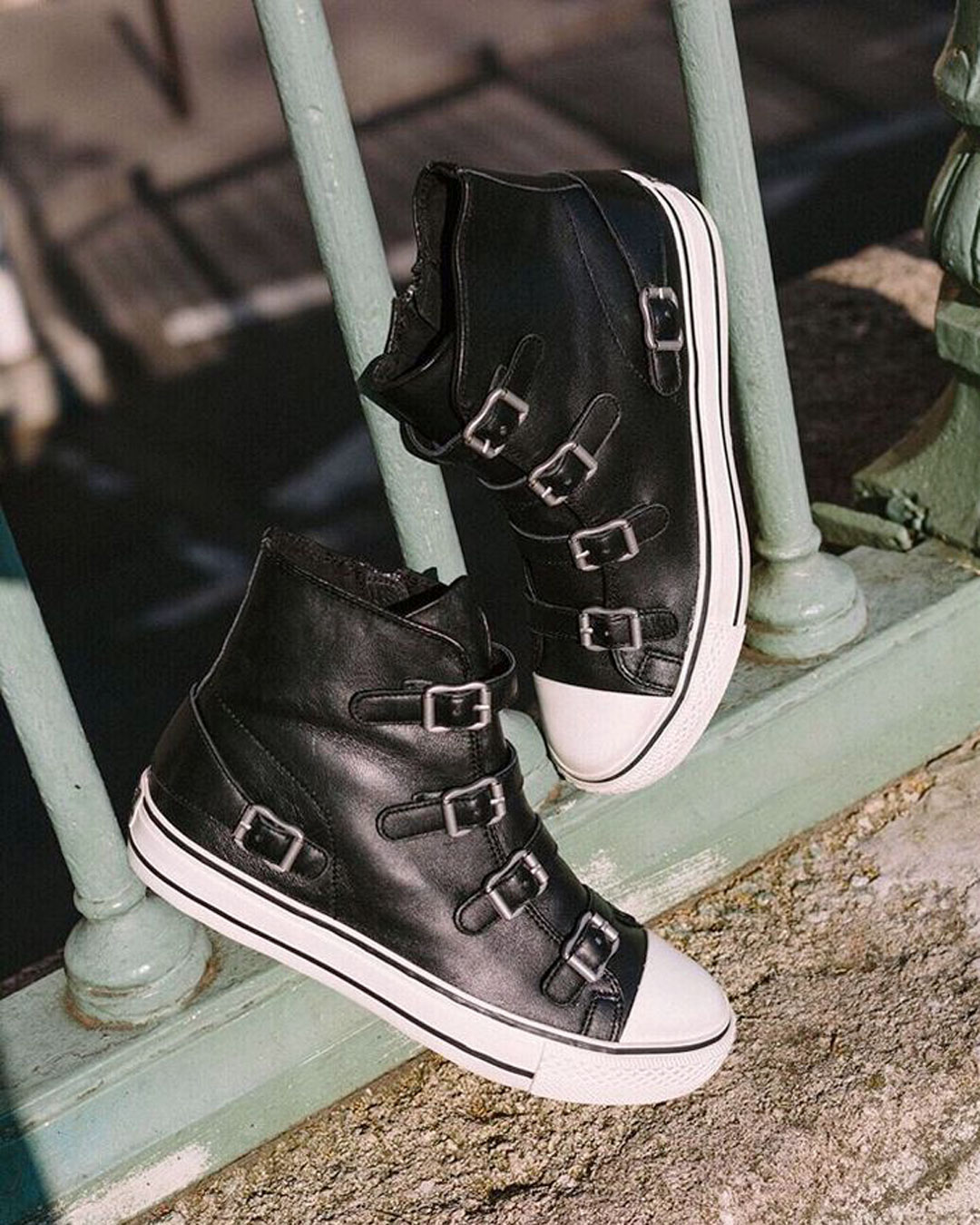 アッシュ ASH【VIRGIN】ベルトハイカットスニーカー|HAYASHIGO ONLINE アッシュ ASH【VIRGIN】ベルトハイカットスニーカー|HAYASHIGO ONLINE