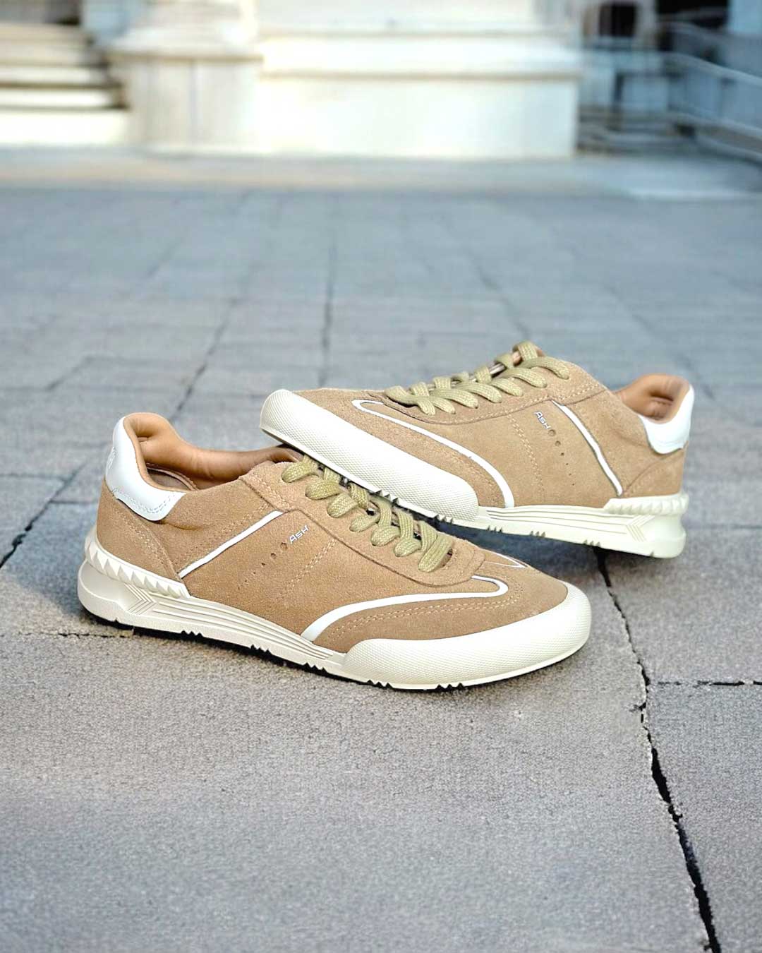 ASH (アッシュ)｜HAYASHIGO ONLINE SHOP -ハヤシゴオンライン