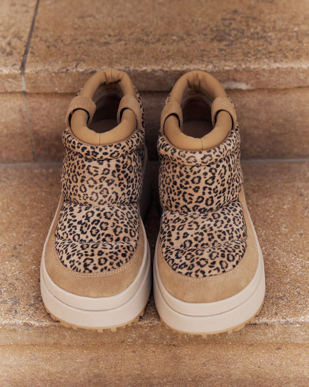 ブラウンアニマル