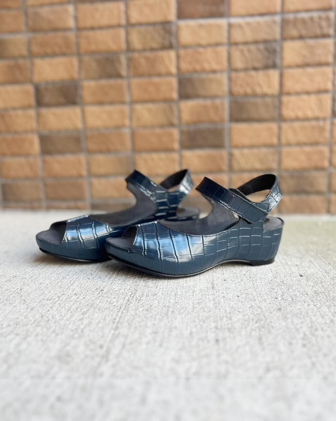 ブルー/ネイビー | HAYASHIGO ONLINE SHOP -ハヤシゴオンライン