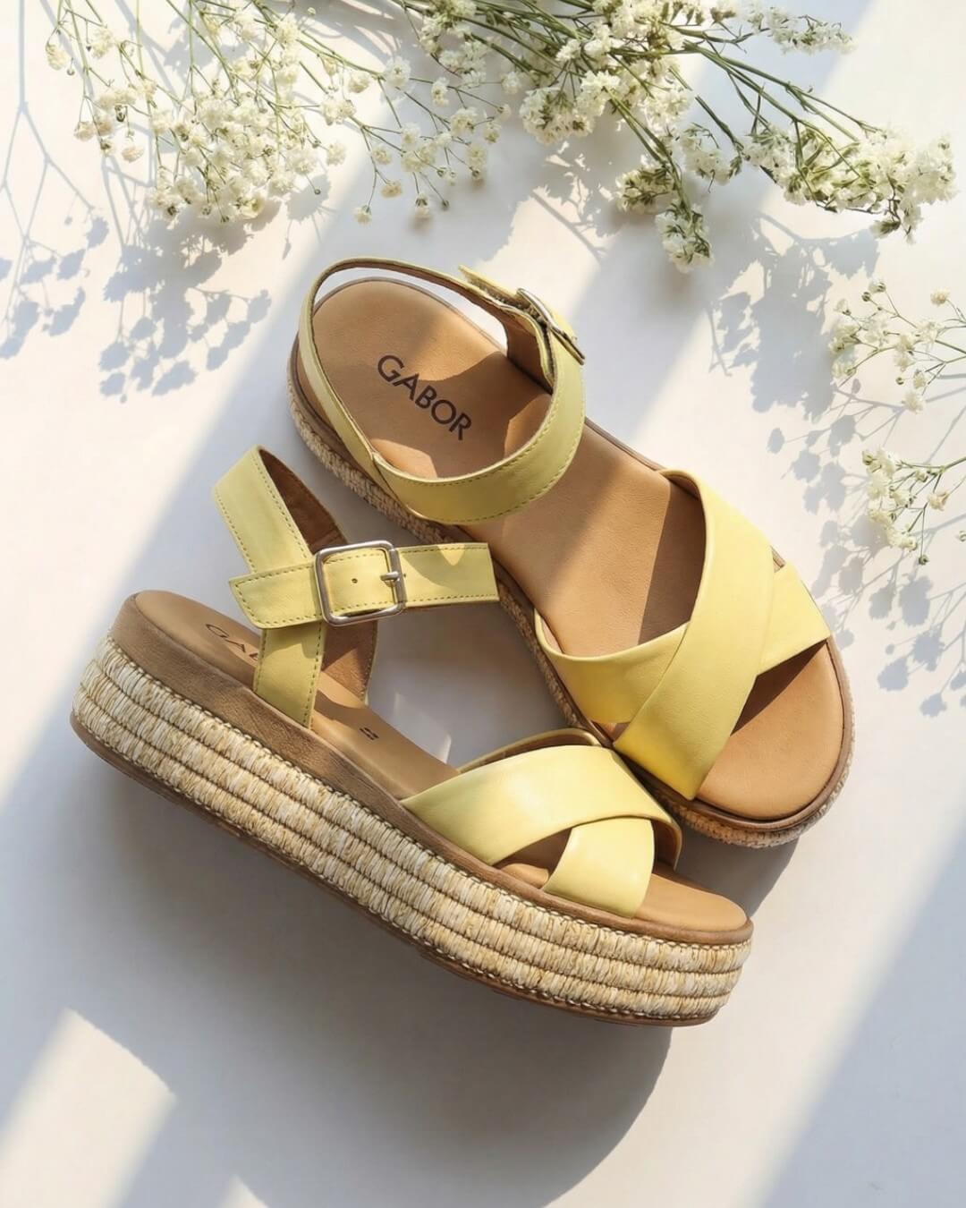 オレンジ/イエロー | HAYASHIGO ONLINE SHOP -ハヤシゴオンライン