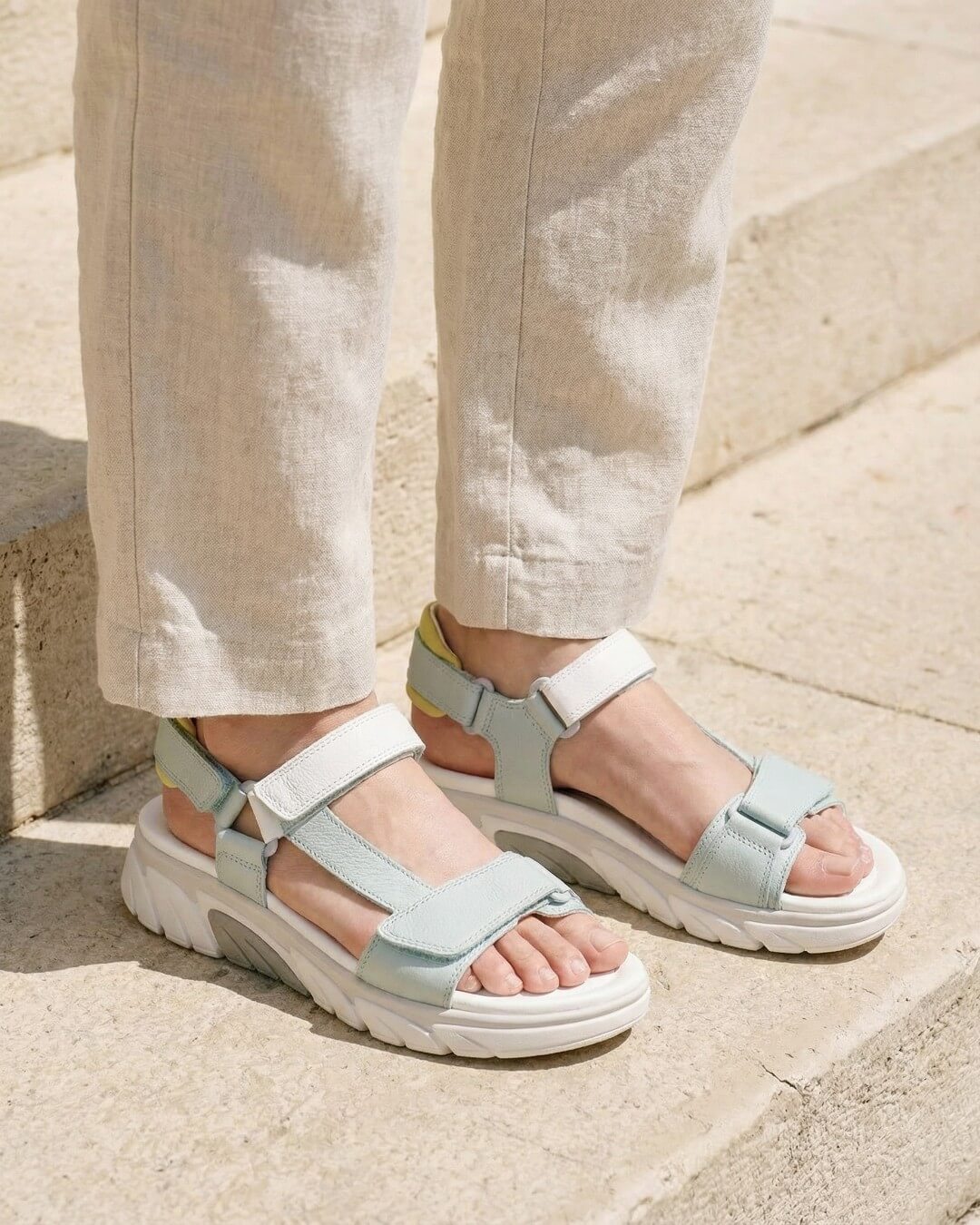 ミント