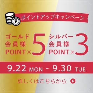 ☆おみ販売☆フォロー割はアパレルのみです 様 2台まとめ買い専用 期間限定】2BUY10%OFFでまとめ買いがおトクに！ > HAYASHIGO